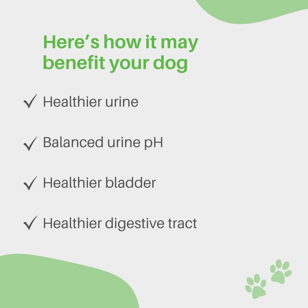 Green Lawn Saver & Urinary Health
