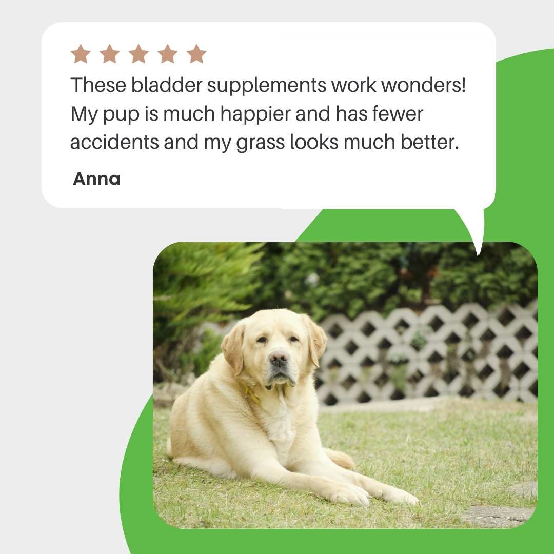 Green Lawn Saver & Urinary Health