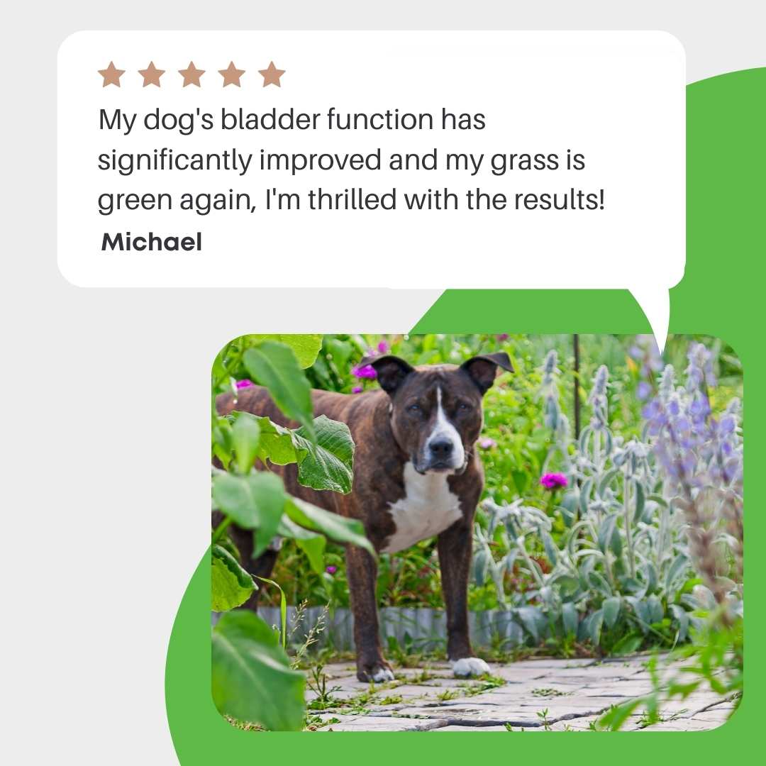 Green Lawn Saver & Urinary Health