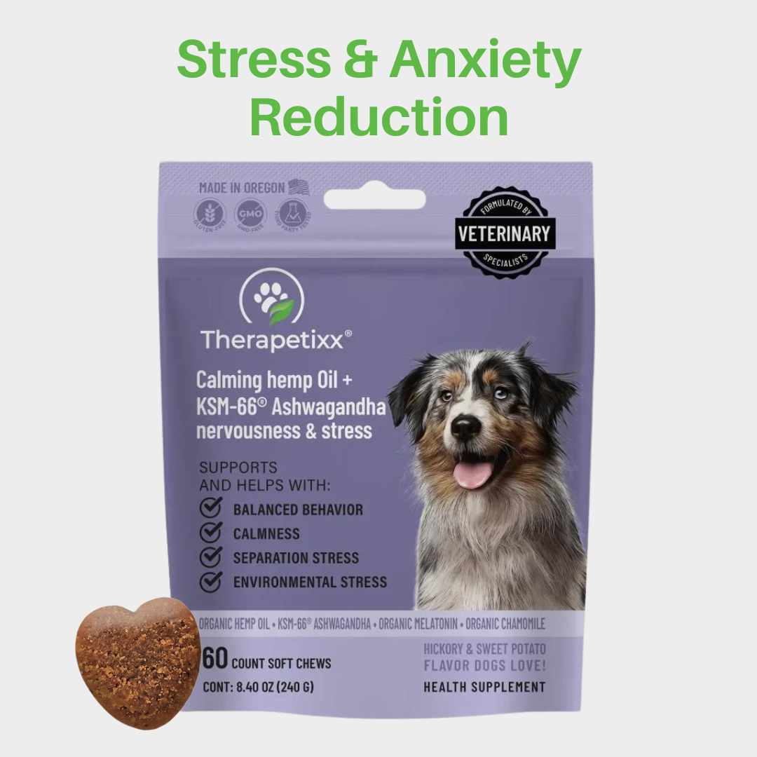 Calming Chews for Stress & Nervousness