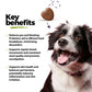 Gut, Prebiotic & Probiotic Chews